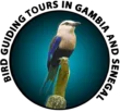 Bird Guiding Tours in Gambia
